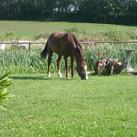 Cozy In Near The Sea Lägenhet